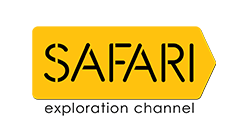 Safari TV